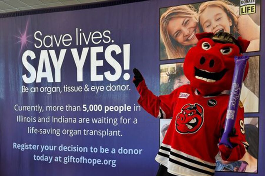 NDLM 2024 Rockford Icehogs mascot with Gift of Hope sign